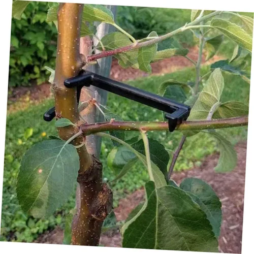 Vista 9 de Housoutil Esparcidor de ramas de árboles frutales 100 piezas herramienta de forma de rama o la herramienta de modelado de ramas de árbol de modelado