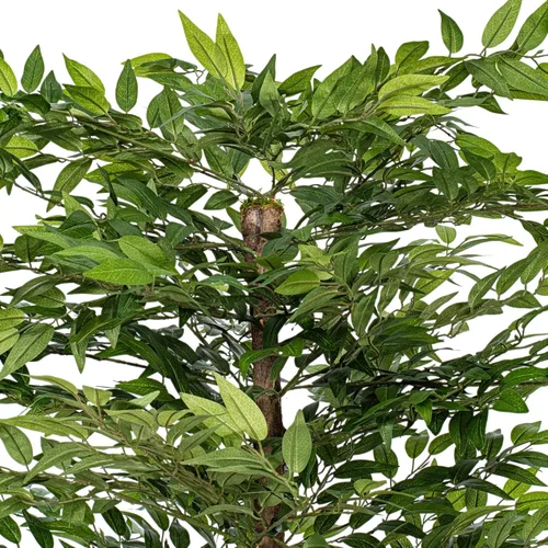 Vista 2 de Vickerman Juego de arbusto Smilax artificial verde de 4 pies en cesta de ratán 2-Verde Oscuro