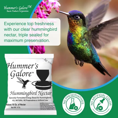 Vista 4 de Hummer's Galore Alimento para colibríes, néctar de colibrí listo para mezclar, fórmula colectora de néctar totalmente natural, sin conservantes ni