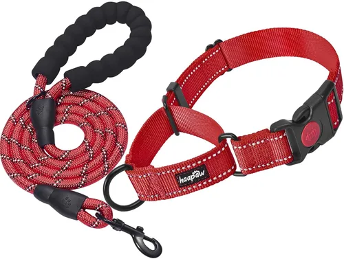 Vista 9 de haapaw Paquete de 2 collares de perro Martingale con hebilla de liberación rápida reflectantes, collares de entrenamiento para perros pequeños