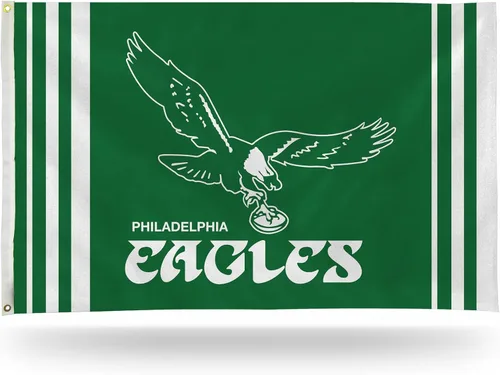 Vista 48 de Rico Industries Bandera estándar de la NFL de 3 x 5 pies, de una sola cara, para interior o exterior, decoración del hogar