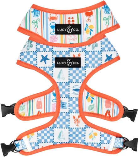 Vista 13 de Lucy & Co. - Arnés reversible para perros, bonito, arnés de diseño, talla XS a XL, chaleco acolchado ajustable para pasear con facilidad