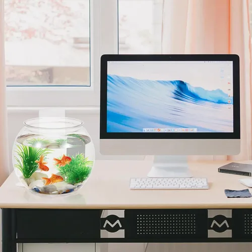 Vista 8 de VILLCASE Pescadera de plástico transparente de 1.5 galones, pequeño tanque de peces redondo de escritorio, tanque ornamental para decoración