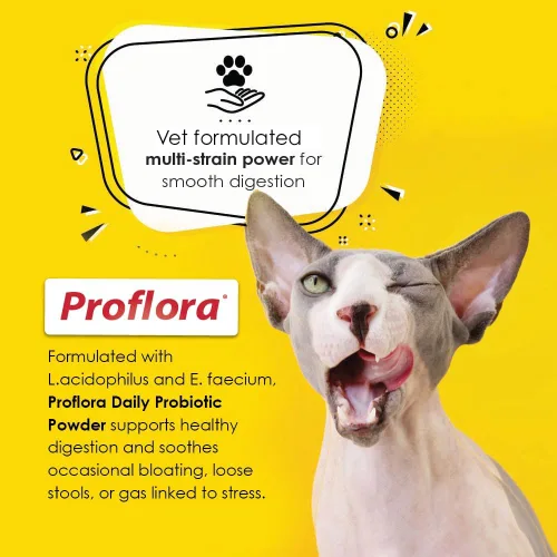Vista 8 de Probióticos para gatos: salud intestinal completa y apoyo inmunológico. Probióticos digestivos de múltiples cepas fáciles de usar. Transiciones