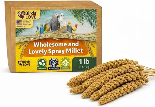 Birds LOVE Mijo en aerosol saludable de 1 libra para pájaros – Rociadores de mijo natural secado al sol en Estados Unidos – Grupos gruesos para