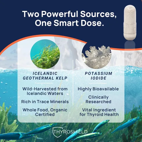 Vista 2 de ThyroShield Suplemento de yodo – 500 mcg puro y crudo de yodo de alimentos integrales, yoduro de potasio, algas marinas islandesas y minerales traza