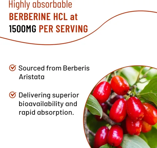 Vista 6 de Paquete de 2 gomitas de berberina, suplemento de berberina de alta potencia con gomitas de canela de Ceilán, cúrcuma, magnesio, sin azúcar, sin OMG