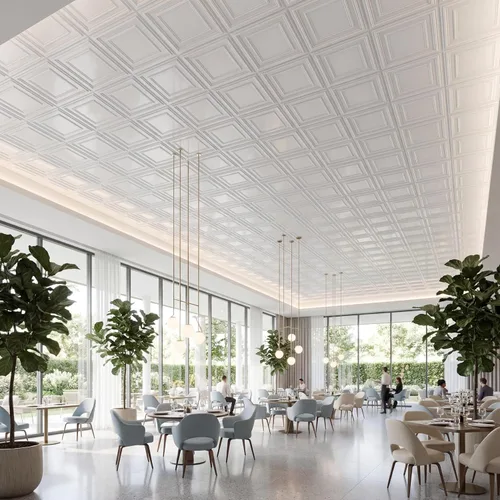 Vista 12 de from Plain to Beautiful in Hours 232 Economy - Azulejos de techo de PVC de 2 pies x 2 pies, blanco, paquete de 10