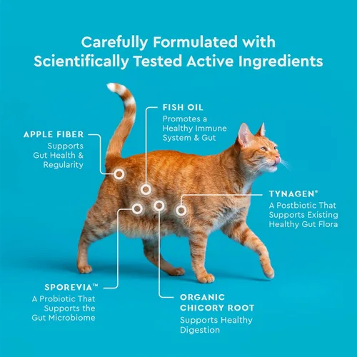 Vista 7 de VetIQ Suplemento de probióticos para gatos: probióticos, prebióticos y postbióticos para gatos, apoyo para la salud digestiva e intestinal, alivio