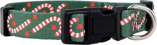 Vista 20 de Native Pup Collar de Perro con Bandera Americana - Rojo, Blanco y Azul - Collares Patrióticos para el 4 de Julio, EE.UU. - Ajustable para Perros