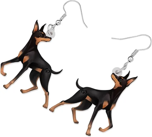 Vista 3 de DOWAY Aretes acrílicos para perros, joyería de moda para mascotas, para mujeres, niñas, niños, regalo de encanto
