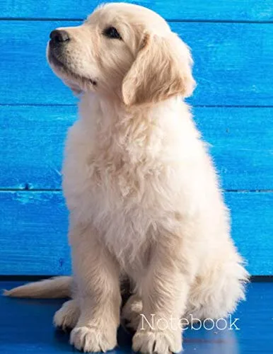 Notebook Dog-Themed Golden Retriever College Ruled Journal Notebook For Puppy Lovers, 120 pages, 8.5x11 inches