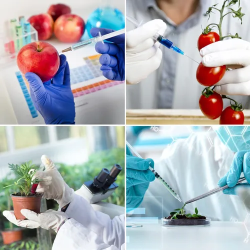 Vista 6 de Consumibles de laboratorio de 0.1 fl oz/cc con Luer Lock 23Ga/1 pulgada envueltos individualmente (paquete de 100)