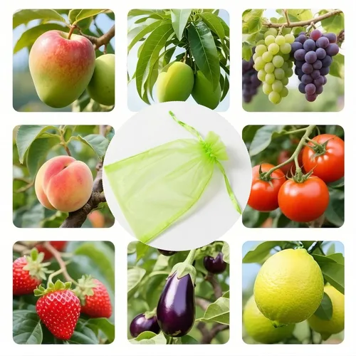 Vista 6 de 100 bolsas reutilizables de protección de frutas de 3 tamaños con cordón, bolsas de red de jardín para mantener la fruta de insectos, pájaros y Verde