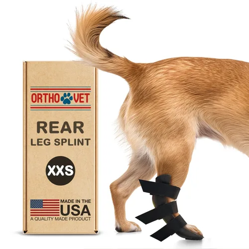 Férula trasera estándar para perros con lesiones, artritis, fracturas o esguinces, férulas traseras duraderas y ligeras para tratamiento de