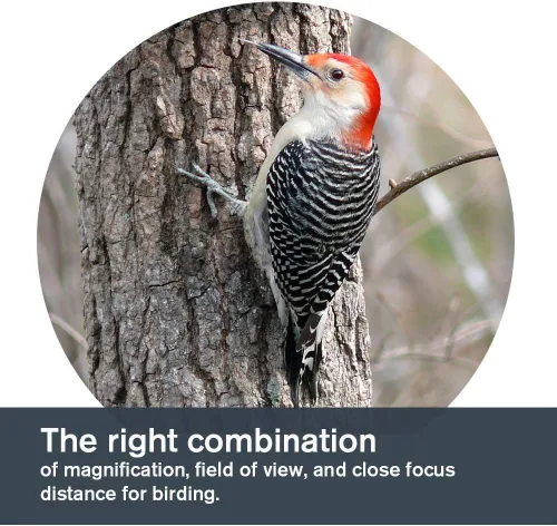 Vista 5 de Celestron 71400 Binoculares para rastrear, color verde militar.