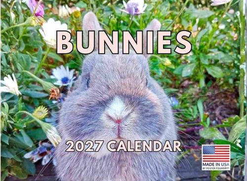 Vista 94 de Calendario de Cocodrilo 2026 Calendario de Pared Mensual 12 Meses Fabricado en Estados Unidos