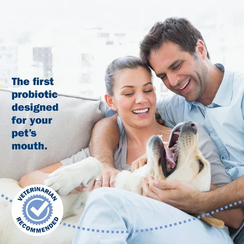 Vista 4 de Probiora para perros Suplemento probiótico para perros para el cuidado bucal Probióticos para mascotas para reducir el mal aliento Suplemento
