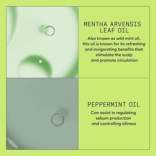 Vista 7 de Acondicionador Nioxin Scalp + Hair Thickening System 2 Para cabello natural o sin tratar con adelgazamiento progresivo Con Niacinamida y Biotina