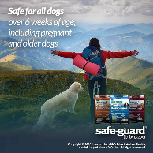 Vista 3 de SAFE-GUARD (fenbendazol) Desparasitante canino para perros, bolsa de 0.07 oz (cada bolsa trata 20 libras), azul, 0.07 onzas (paquete de 3)