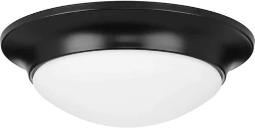 Vista 7 de Progress Lighting 2 luces de 14 pulgadas de montaje empotrado de vidrio grabado, interior, P350147-031, negro mate