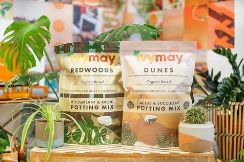 Vista 7 de IvyMay Dunes - Suelo para suculentas, mezcla orgánica para macetas de cactus para suculentas, listo para usar, plantas de interior con perlita