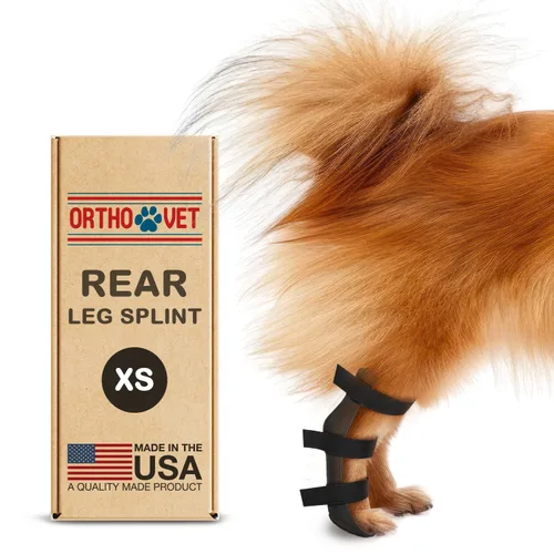 Vista 9 de Férula trasera estándar para perros con lesiones, artritis, fracturas o esguinces, férulas traseras duraderas y ligeras para tratamiento