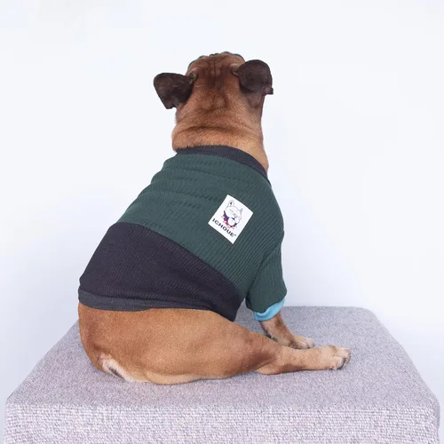 Vista 2 de iChoue Suéter de cuello redondo para perro con bloques de color, ropa cálida de invierno para bulldog francés, cachorro de pug francés, verde