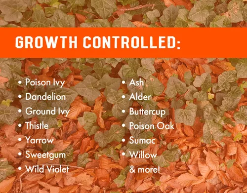 Vista 6 de Pro Brush & Poison Ivy Killer – 32oz – (Comparar con Crossroad) Herbicida concentrado posemergente para plantas leñosas, cepillo y control