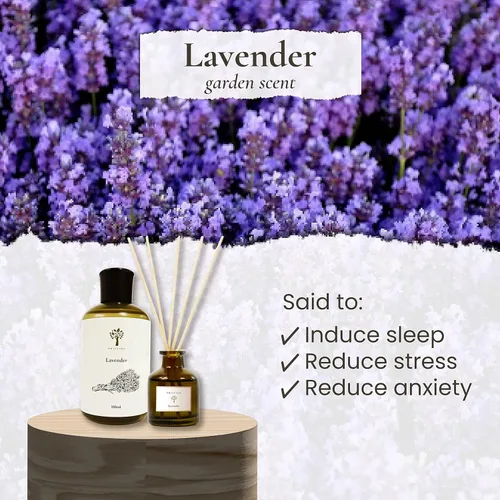 Vista 3 de PRISTINE Lavender Dream - Difusor de varillas para el hogar Difusores de varillas de fragancia fresca de lavanda y eucalipto, difusor de aceite