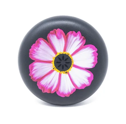 Vista 41 de Estuche para alineador y retenedor Invisalign, Porta retenedor Oso