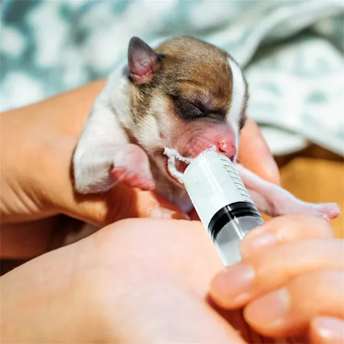 Vista 8 de 20 jeringas de plástico de 0.3 fl oz y 0.3 onzas líquidas con tapas, múltiples usos para medición, medición, dispensación, riego, recarga