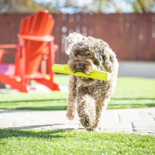 Vista 8 de Hyper Pet Serie Voladora de Juguetes Interactivos para Perros - Gran Lanzador de Patos con Funda para Perros que Flota en el Agua