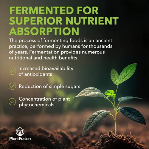 Vista 7 de PlantFusion - Mezcla de bebida de cúrcuma y jengibre, nutrición fermentada de alimentos integrales, suplemento de hierbas en polvo con curcuminoides