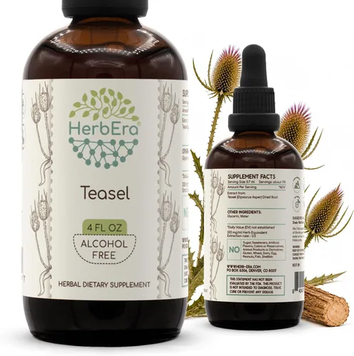 HerbEra Tintura de extracto líquido sin alcohol - Soporte para articulaciones y huesos, Dipsacus Asper (Xu Duan) raíz seca, gotas antioxidantes