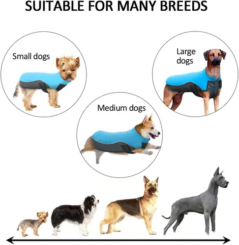 Vista 3 de Didog Capa de invierno reflectante para perros, chaleco de deporte, chaquetas, ropa de invierno, 8 tallas disponibles para perros pequeños, medianos