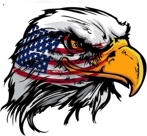 AK - Calcomanías de vinilo patrióticas con la bandera estadounidense de águila calva para automóvil, furgoneta, camiones, motocicleta, parachoques,