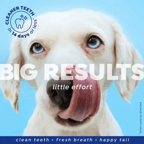 Vista 4 de Naturél Promise Fresh - Ambientador dental y aditivo de agua de limpieza dental para perros, botella de 18 onzas
