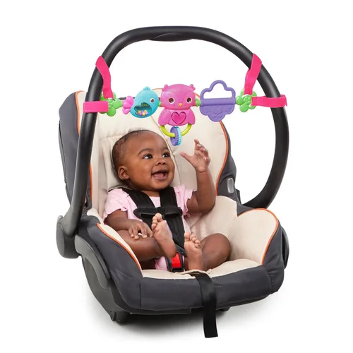 Bright Starts Busy Birdies Barra de Juguetes para Portabebés Musical para Llevar con Luces, Edades Recién Nacido +, Rosa