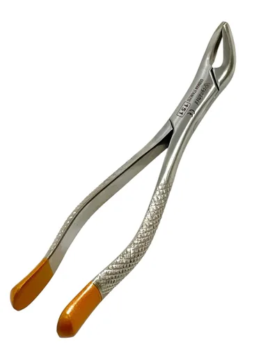 -Extracción Dental Extracción Serrada Pinzas #151, Bicúspide inferior, Incisivo Inferior, Raíz Inferior, Universal, Mango de Calidad Premium, Acero