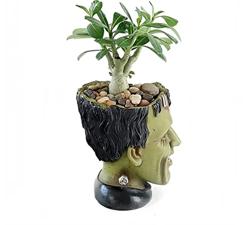 Vista 3 de Maceta Graciosa con Cabeza de Planta Divertida, Maceta para Suculentas con Orificio de Drenaje, Maceta de Resina para Jardín de Hadas, Maceta