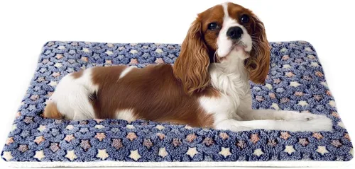 Vista 36 de Mora Pets Cama para gatos, almohadilla para jaula para perros, cama ultrasuave para mascotas con bonito estampado de estrellas, tapete lavable