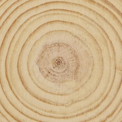 Vista 4 de KEILEOHO 8 piezas de rebanadas de madera natural de 8 a 9 pulgadas, círculos de madera de corteza de árbol para artes y manualidades, discos