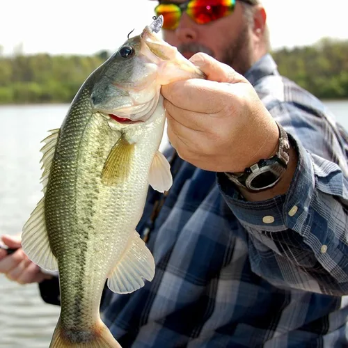 Vista 5 de Swimbait Jig Head Jig Head Flats Jig Head Bait Spin Head Jigs - Cabeza de pez realista, 5