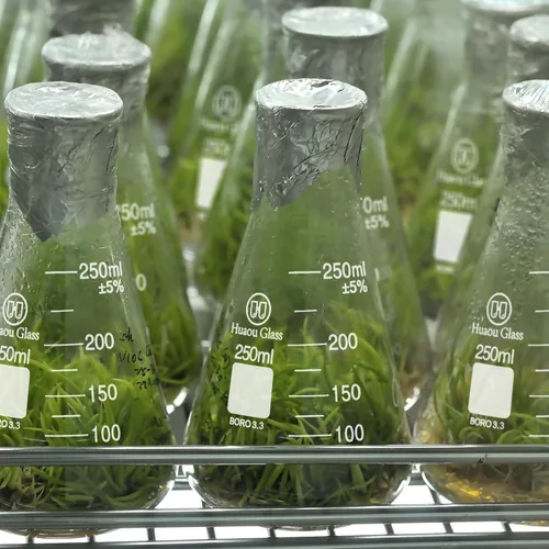 Vista 6 de Erlenmeyer - Juego de frasco de vidrio de 1.7 fl oz, 5.1 fl oz y 8.5 fl oz, frasco graduado de boca estrecha, vidrio de borosilicato 3.3, ideal