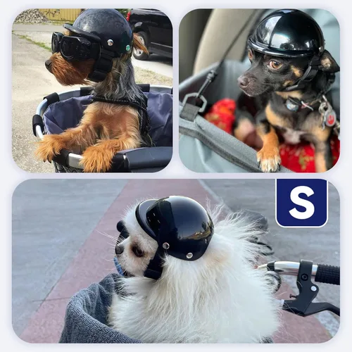 Vista 2 de Namsan XSmall - Casco para perros pequeños, casco de motocicleta para perros, casco de bicicleta para gatos al aire libre para protección de la Negro