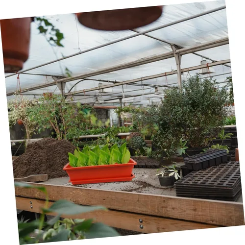 Vista 8 de Yardwe Contenedor de planta suculenta Rectángulo de plástico Maceta de vegetales Caja con drenaje Decoración de jardín