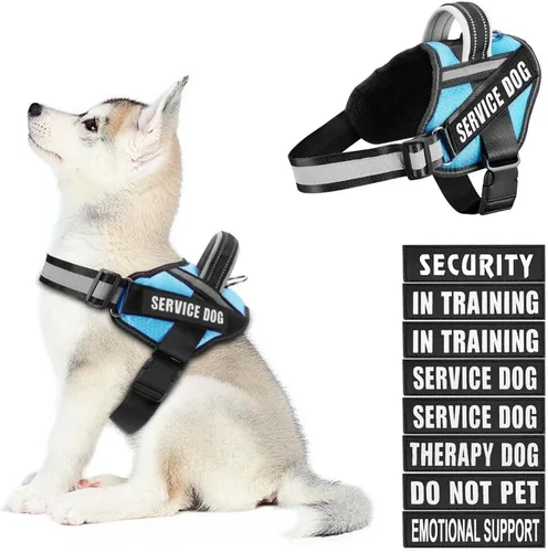 Vista 17 de Juego de arnés y parches para chaleco de perro, arnés de perro de servicio en entrenamiento Animire con 10 parches para perros, chaleco reflectante