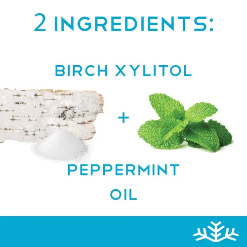 Vista 5 de Surtido de menta KETO Xylitol Candy Chips (paquete de 3) – SNØ lata de 1.5 onzas – Caramelo sin azúcar con solo 2 ingredientes Bajo