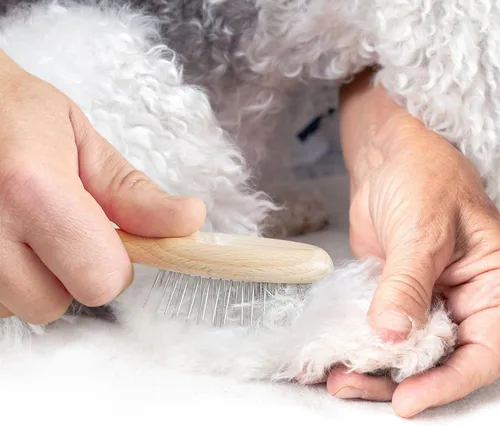 Vista 6 de Cepillo para perros Chris Christensen, 14.6 cm x 3.2 cm Little Wonder Pin Brush (20mm), Serie Original, Asea como un profesional, pines de acero